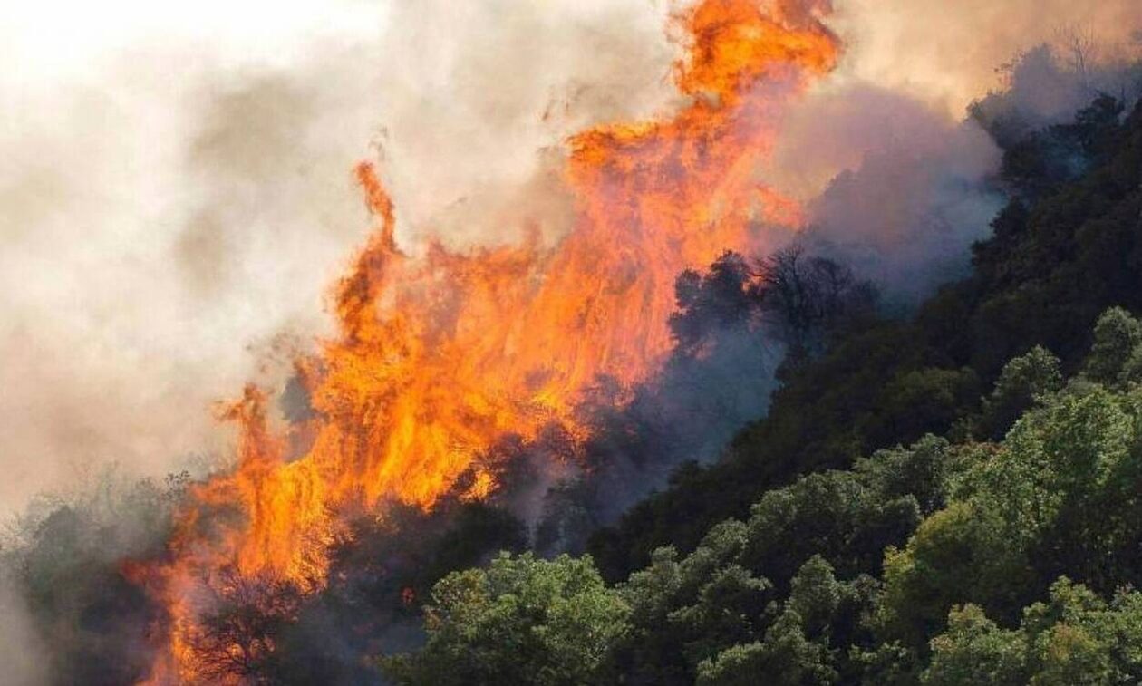 Χρήστος Ζερεφός: Παράξενο και ακραίο έτος το 2023 - Η φύση θα μας αναγκάσει να πάρουμε μέτρα